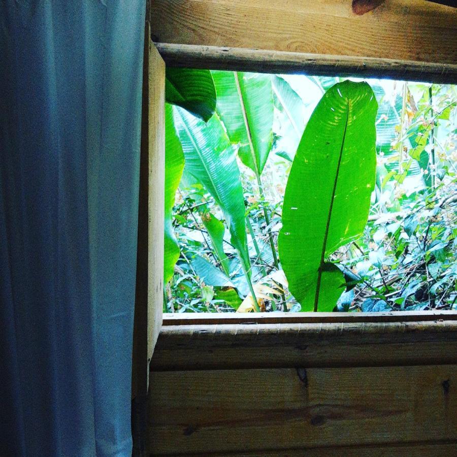 Casa Ranxoxita Hotel Itaipava Kültér fotó