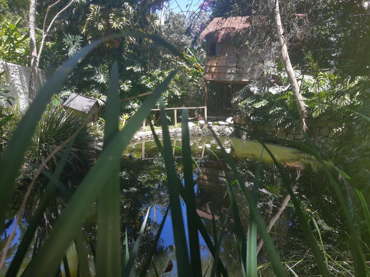 Casa Ranxoxita Hotel Itaipava Kültér fotó