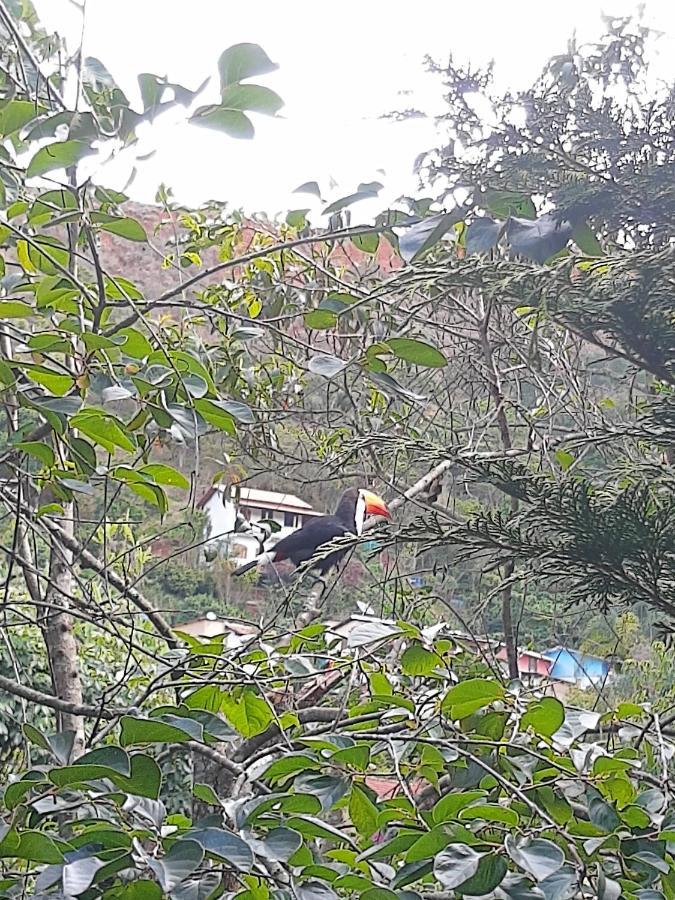 Casa Ranxoxita Hotel Itaipava Kültér fotó