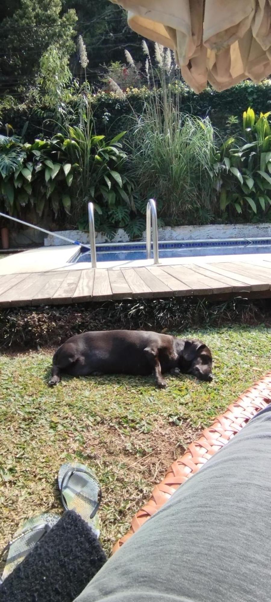 Casa Ranxoxita Hotel Itaipava Kültér fotó