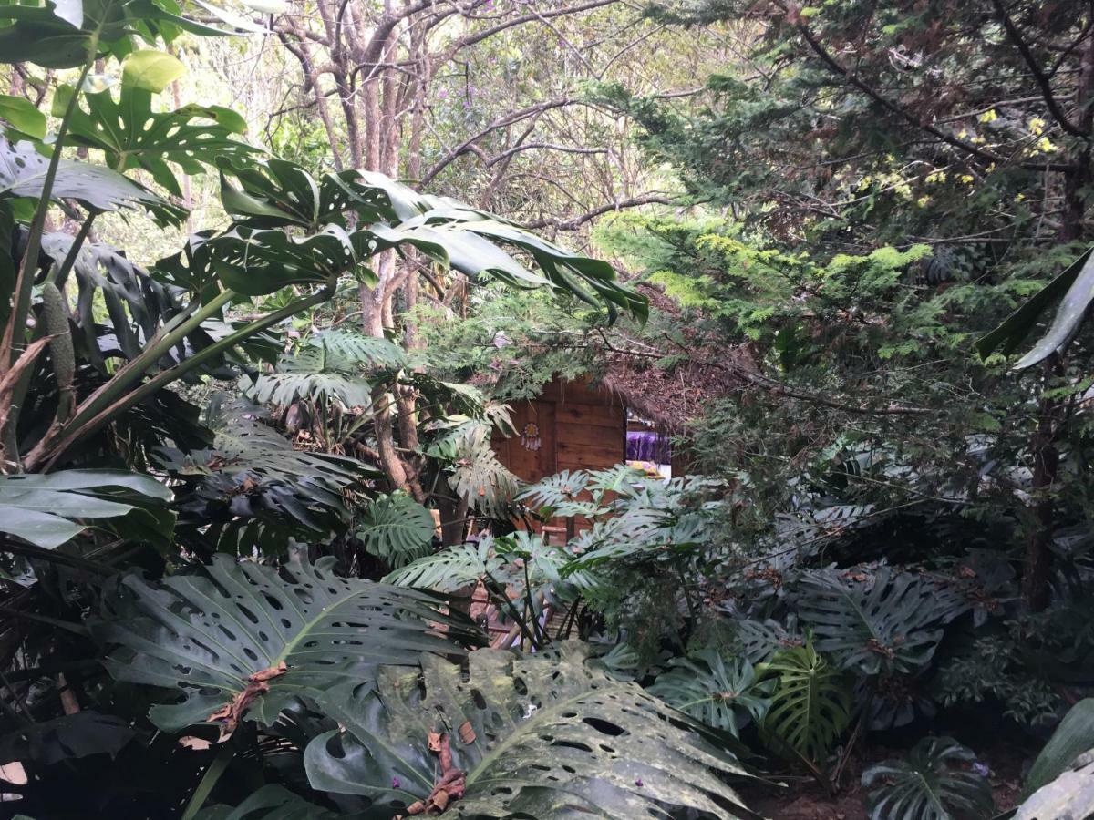 Casa Ranxoxita Hotel Itaipava Kültér fotó