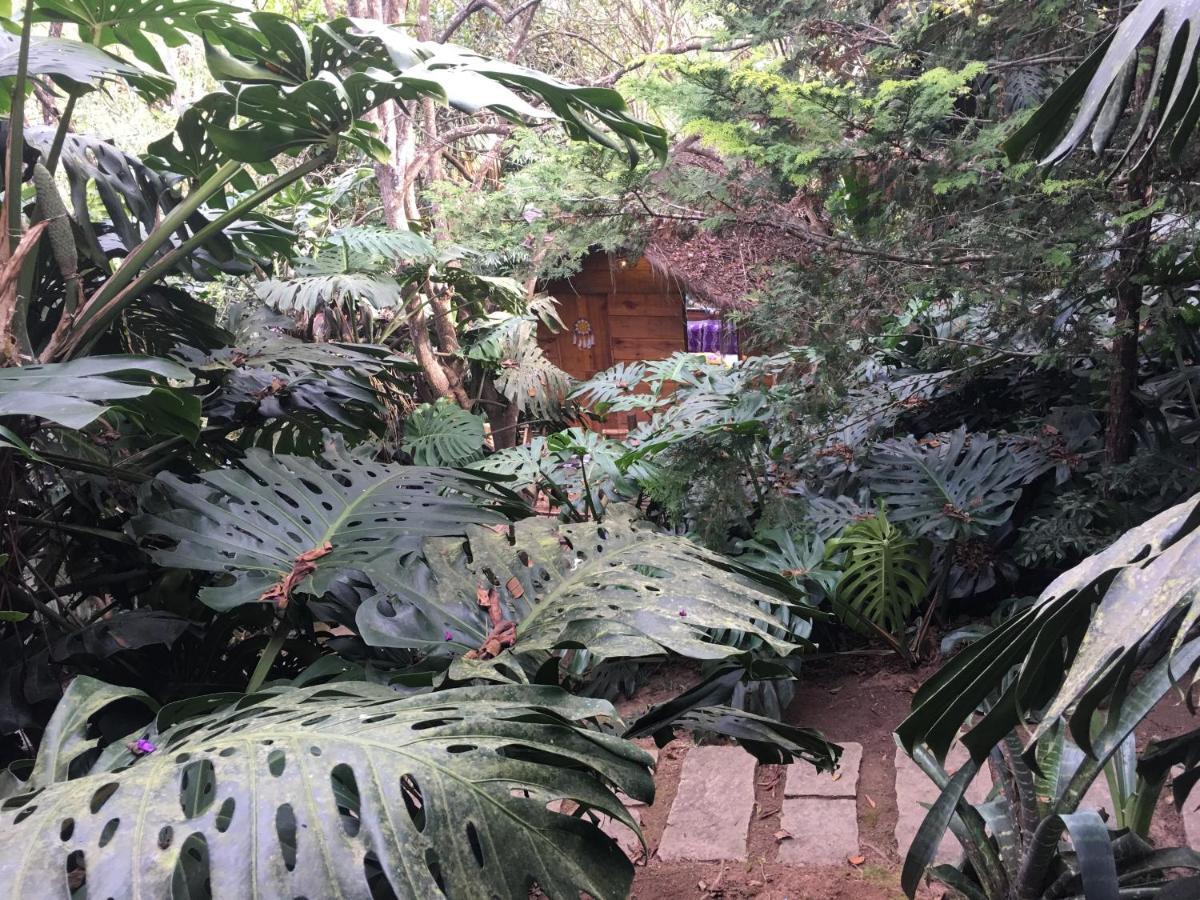 Casa Ranxoxita Hotel Itaipava Kültér fotó